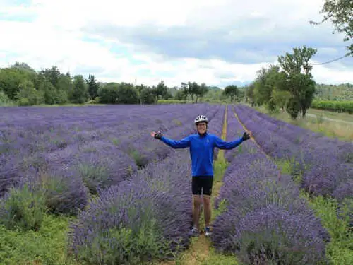 Cycling in Provence - Riding through lavender fields.