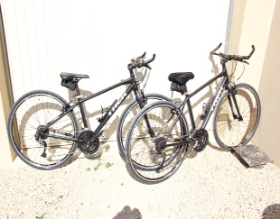 View of the hybrid TREK Bikes used in our cycle tours.