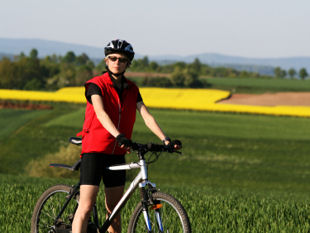 Provence cycling trips, France - Provencale sunflowers.