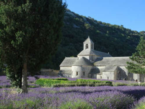View of the Senanque Abbey near Gordes.